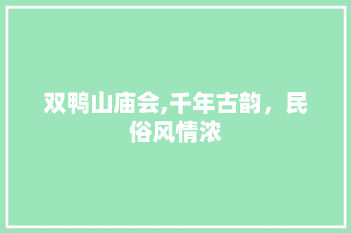 双鸭山庙会,千年古韵，民俗风情浓