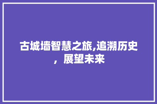 古城墙智慧之旅,追溯历史，展望未来