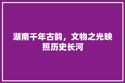 湖南千年古韵，文物之光映照历史长河