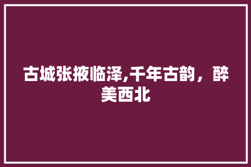 古城张掖临泽,千年古韵，醉美西北