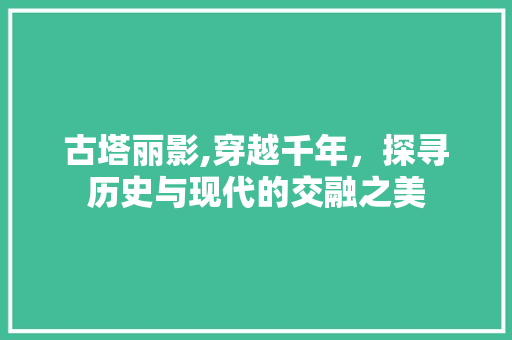 古塔丽影,穿越千年，探寻历史与现代的交融之美