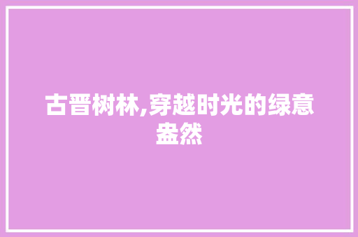 古晋树林,穿越时光的绿意盎然