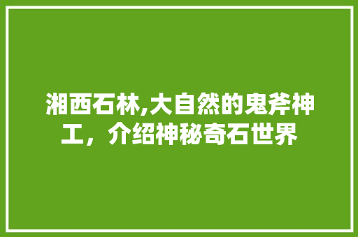 湘西石林,大自然的鬼斧神工，介绍神秘奇石世界