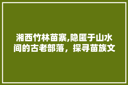 湘西竹林苗寨,隐匿于山水间的古老部落，探寻苗族文化的瑰宝  第1张