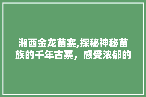 湘西金龙苗寨,探秘神秘苗族的千年古寨，感受浓郁的民族风情