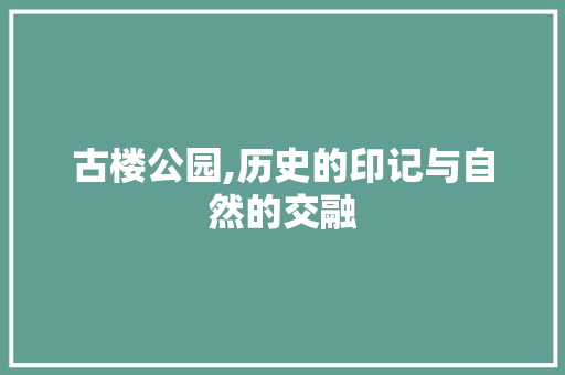 古楼公园,历史的印记与自然的交融