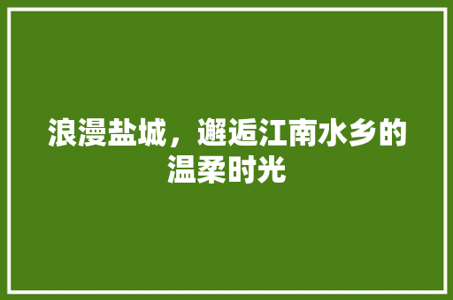 浪漫盐城，邂逅江南水乡的温柔时光  第1张