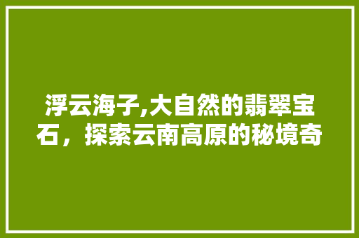 浮云海子,大自然的翡翠宝石，探索云南高原的秘境奇观  第1张