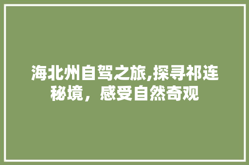 海北州自驾之旅,探寻祁连秘境，感受自然奇观