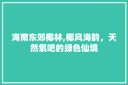 海南东郊椰林,椰风海韵，天然氧吧的绿色仙境  第1张