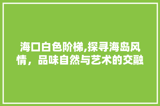 海口白色阶梯,探寻海岛风情，品味自然与艺术的交融