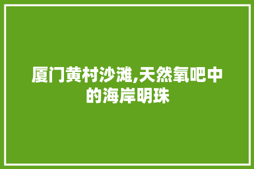 厦门黄村沙滩,天然氧吧中的海岸明珠