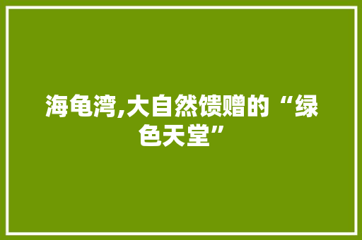 海龟湾,大自然馈赠的“绿色天堂”  第1张