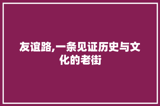 友谊路,一条见证历史与文化的老街  第1张