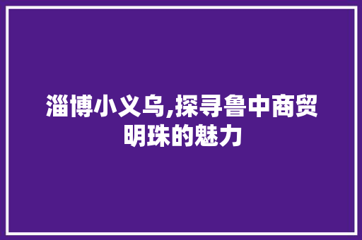 淄博小义乌,探寻鲁中商贸明珠的魅力  第1张