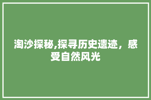 淘沙探秘,探寻历史遗迹，感受自然风光  第1张