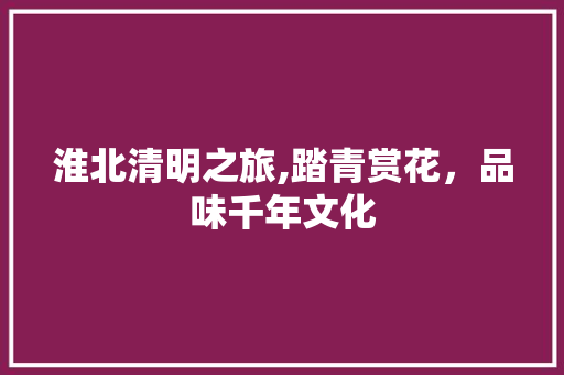 淮北清明之旅,踏青赏花，品味千年文化  第1张