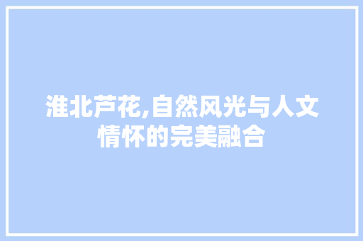 淮北芦花,自然风光与人文情怀的完美融合  第1张