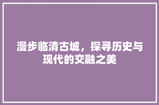 漫步临清古城，探寻历史与现代的交融之美