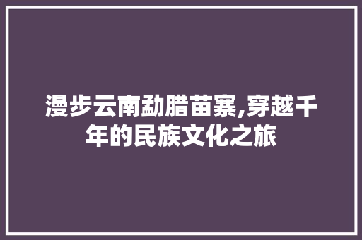 漫步云南勐腊苗寨,穿越千年的民族文化之旅