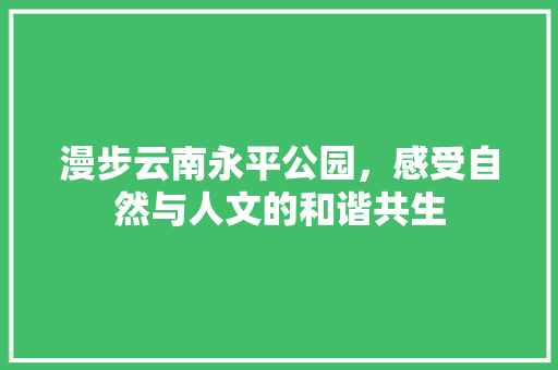 漫步云南永平公园，感受自然与人文的和谐共生