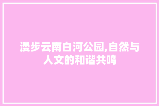 漫步云南白河公园,自然与人文的和谐共鸣