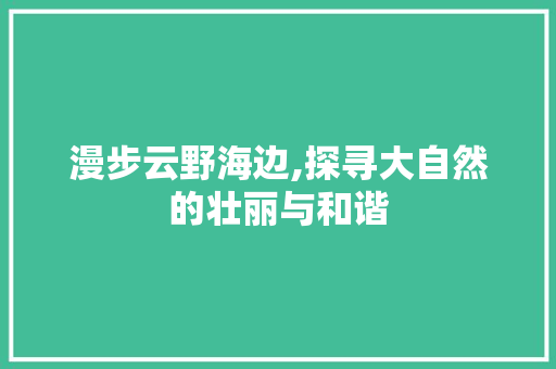 漫步云野海边,探寻大自然的壮丽与和谐