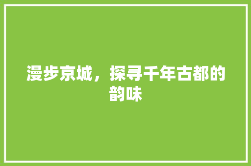 漫步京城，探寻千年古都的韵味