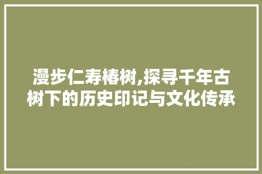 漫步仁寿椿树,探寻千年古树下的历史印记与文化传承  第1张