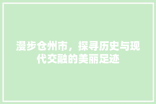 漫步仓州市，探寻历史与现代交融的美丽足迹