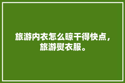 旅游内衣怎么晾干得快点，旅游熨衣服。