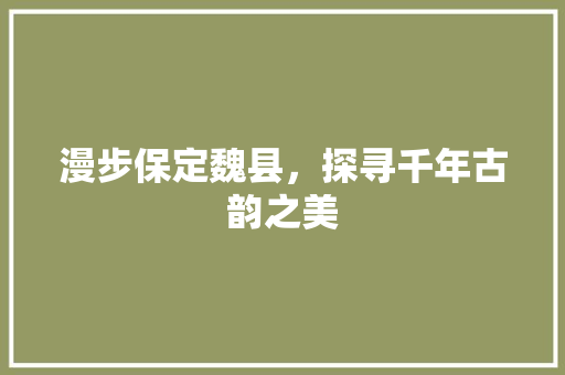 漫步保定魏县，探寻千年古韵之美