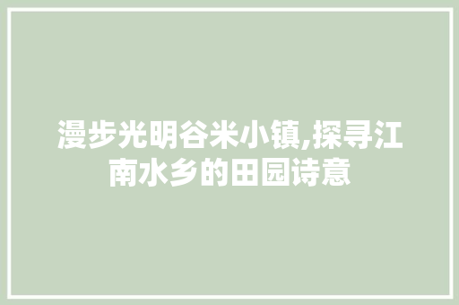 漫步光明谷米小镇,探寻江南水乡的田园诗意