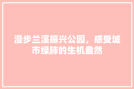 漫步兰溪振兴公园，感受城市绿肺的生机盎然