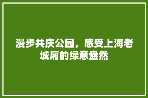 漫步共庆公园，感受上海老城厢的绿意盎然