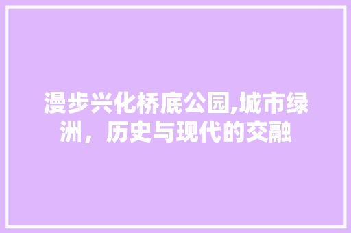 漫步兴化桥底公园,城市绿洲，历史与现代的交融