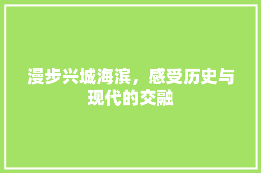 漫步兴城海滨，感受历史与现代的交融  第1张