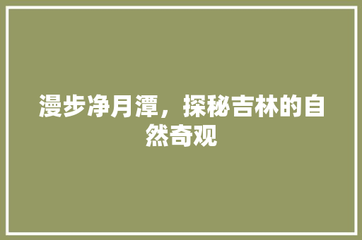 漫步净月潭，探秘吉林的自然奇观  第1张