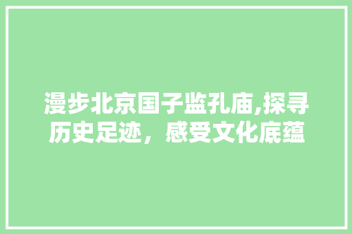 漫步北京国子监孔庙,探寻历史足迹，感受文化底蕴  第1张