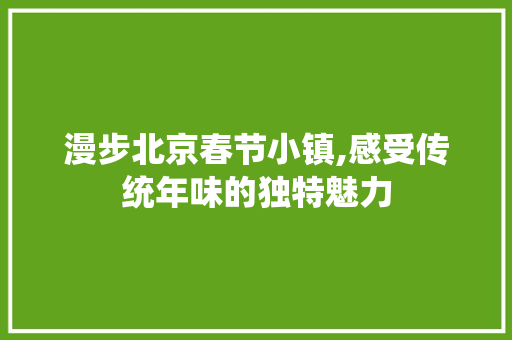 漫步北京春节小镇,感受传统年味的独特魅力