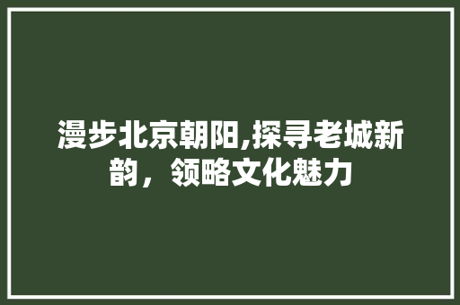 漫步北京朝阳,探寻老城新韵，领略文化魅力