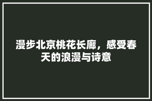 漫步北京桃花长廊，感受春天的浪漫与诗意