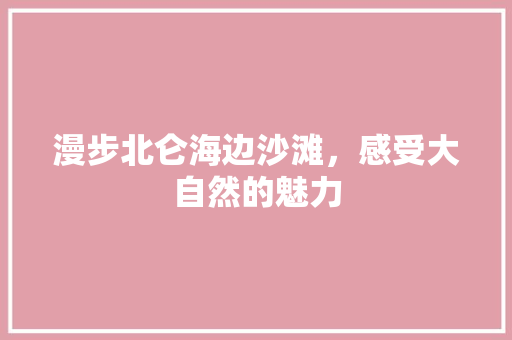 漫步北仑海边沙滩，感受大自然的魅力