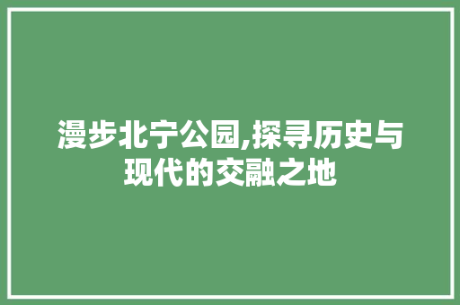 漫步北宁公园,探寻历史与现代的交融之地