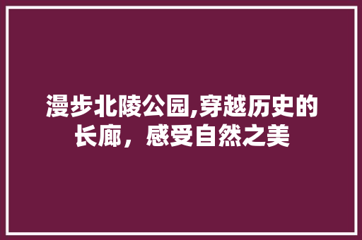 漫步北陵公园,穿越历史的长廊，感受自然之美