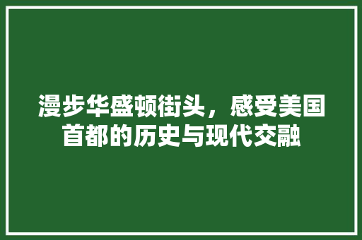 漫步华盛顿街头，感受美国首都的历史与现代交融