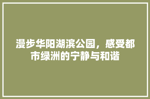 漫步华阳湖滨公园，感受都市绿洲的宁静与和谐