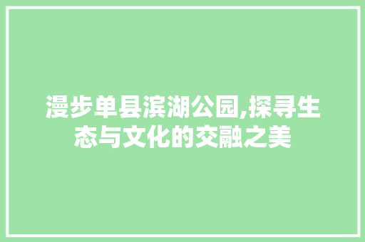 漫步单县滨湖公园,探寻生态与文化的交融之美  第1张