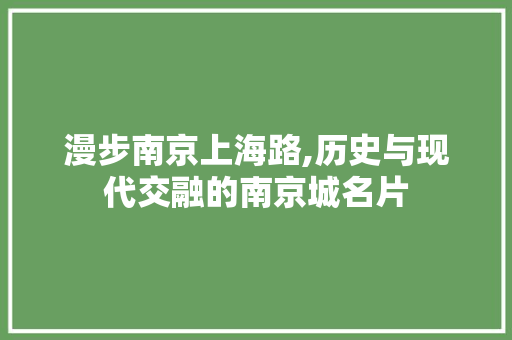 漫步南京上海路,历史与现代交融的南京城名片  第1张