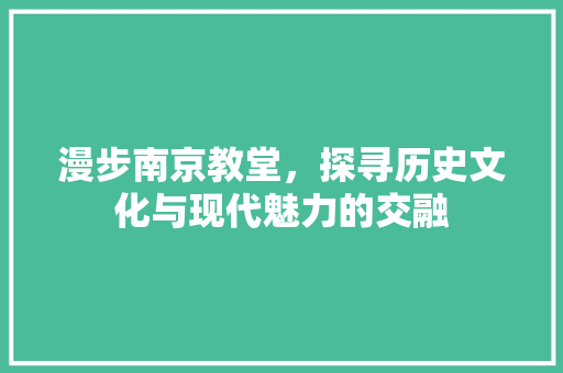 漫步南京教堂，探寻历史文化与现代魅力的交融